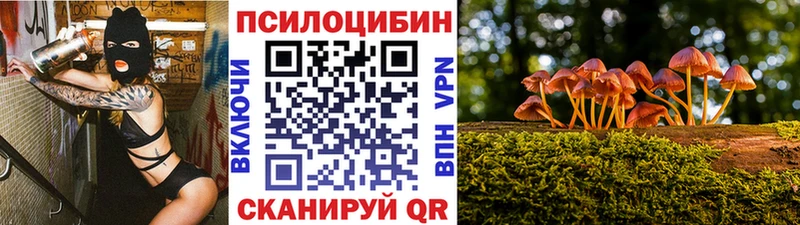 Псилоцибиновые грибы Psilocybe  где купить наркоту  Короча 